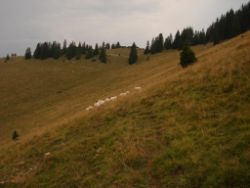 2013-08-25_Risserkogel (234).JPG
